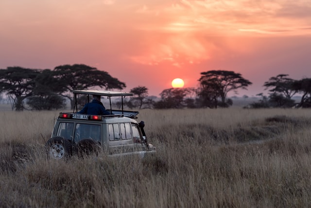 Raid safari en Afrique